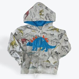 Dinosaur Print Kids Hoodie - Gray and Blue